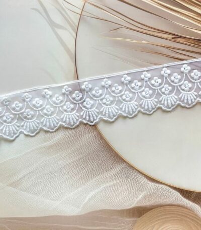 ZariWork 2 Inch White Net Organza Lace Border